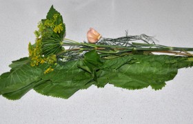 Можем использовать специальные наборы для засола, которые в сезон продают во многих местах.