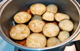 Уложив слой кружков моркови, накрываем ее кружками баклажана. Приправляем.