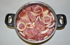 Что касается соли – это тоже на свой вкус. Солим, размешиваем, пробуем – маринад должен быть настолько же соленым, насколько соленым должен быть готовый шашлык.  Наконец складываем мясо и лук, располагая их слоями, посыпая приправами, и заливаем маринадом. Закрываем и ставим на нижнюю полку холодильника. Там шашлык и дожидается 10-12 часов выезда на природу и подготовки мангала.