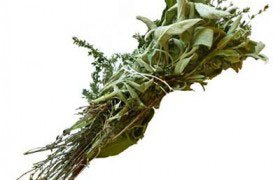 Букет гарни (bouquet garni) Букет гарни (bouquet garni)