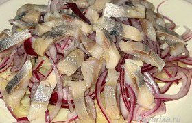 Пряный салат из селедки